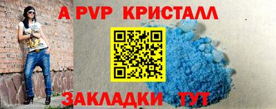 гашик Сланцы