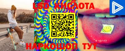 гашик Сланцы