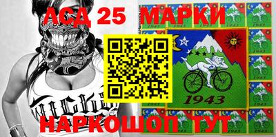 гашик Сланцы