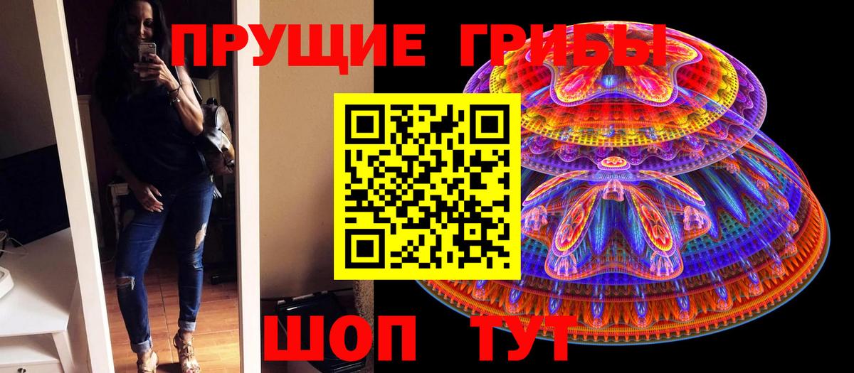 купить наркотики сайты  Вход с VPN  Нижний Новгород  Псилоцибиновые грибы MAGIC MUSHROOMS 
